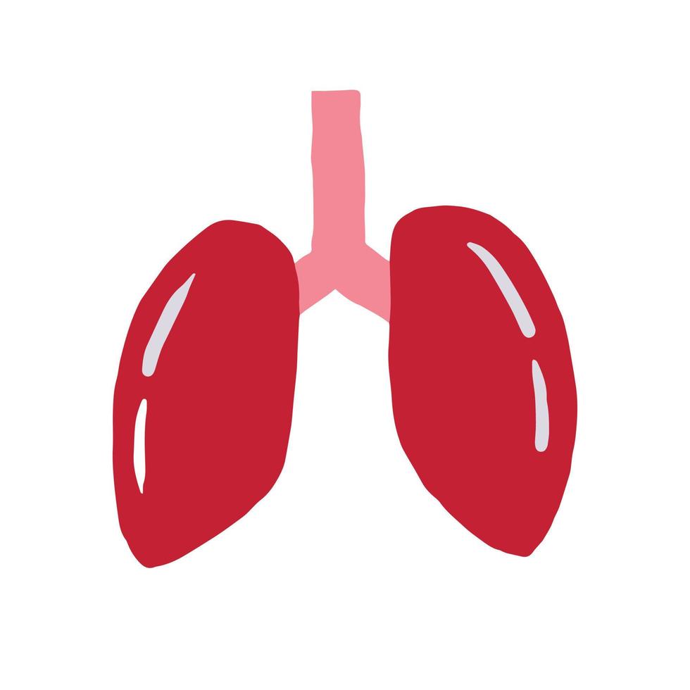 pulmones simple dibujado a mano ilustración vectorial vector