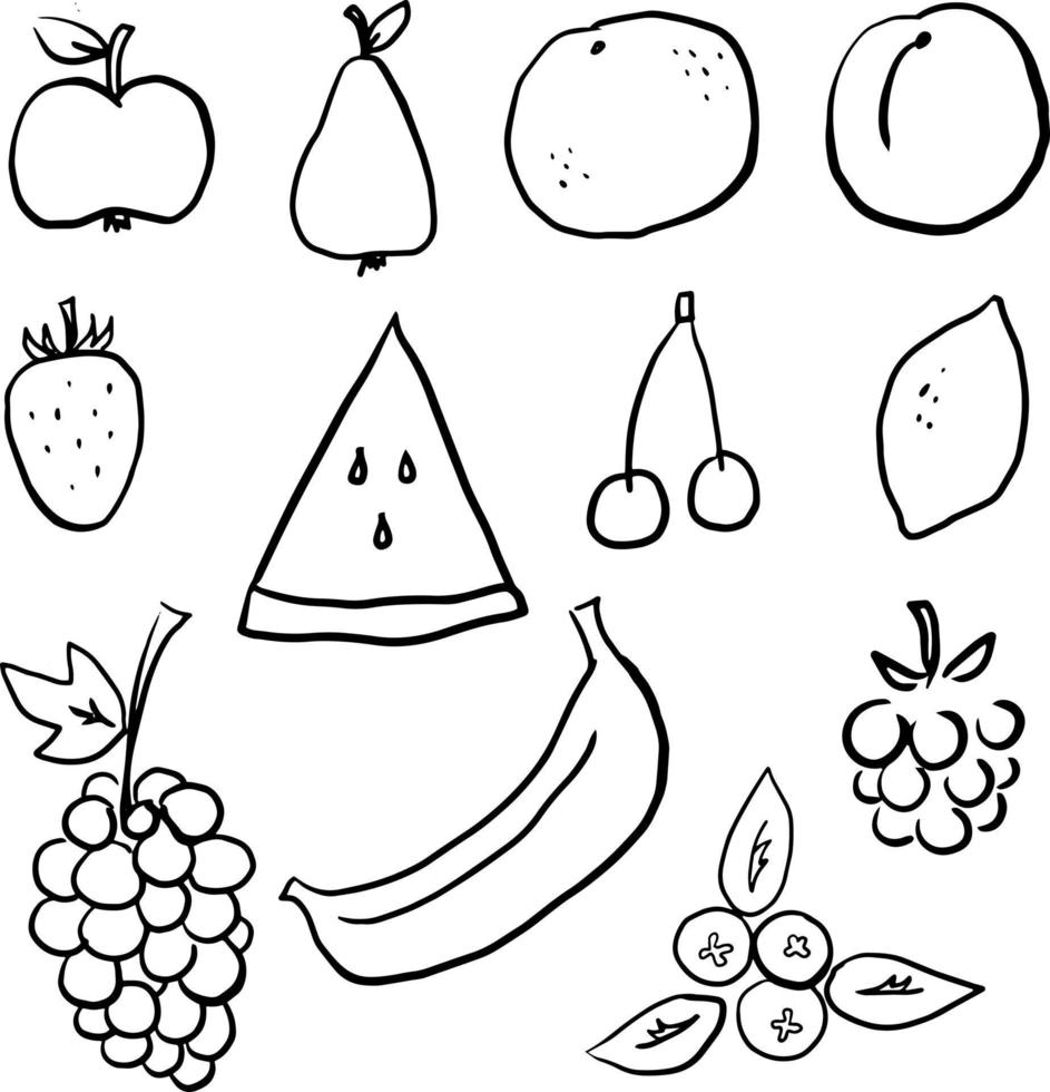 Fruits and berries black and white line art hand drawn clip art vector
