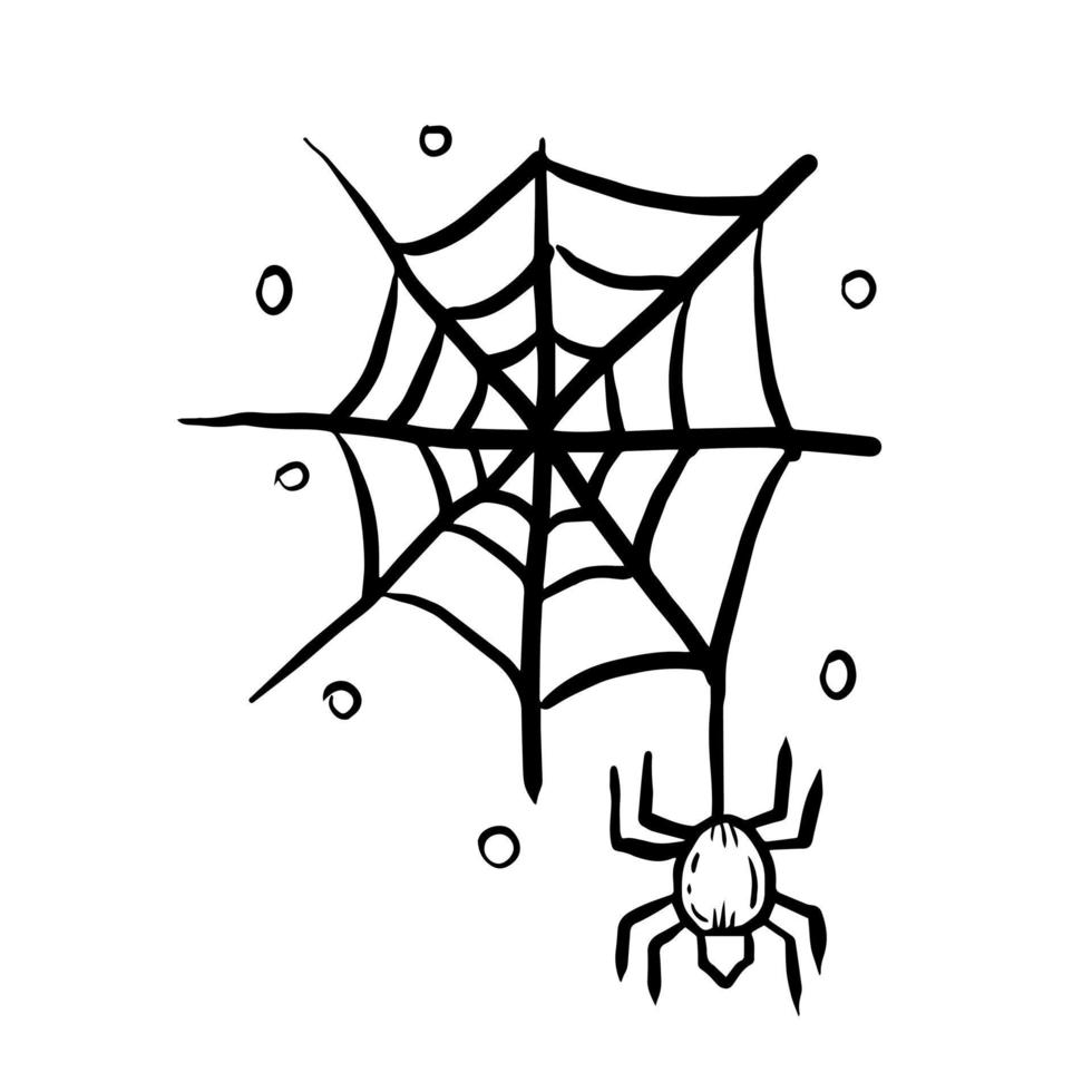 Halloween spider web doodle element vector