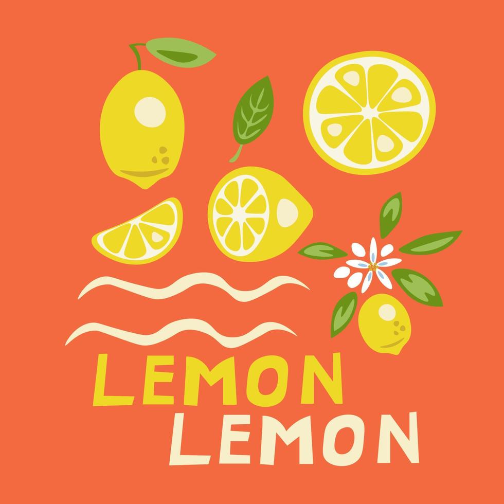 Lemon elements collection vector