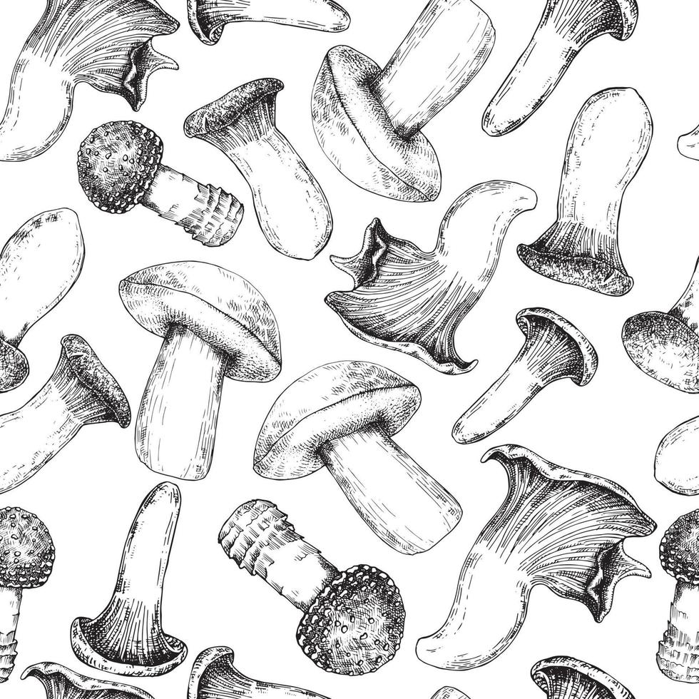 seamless pattern with forest mushrooms. print with graphic black and white pattern in vintage style. vector