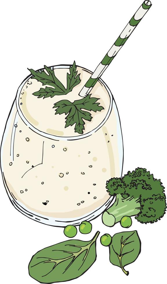 spinach and broccoli smoothie vector illustration