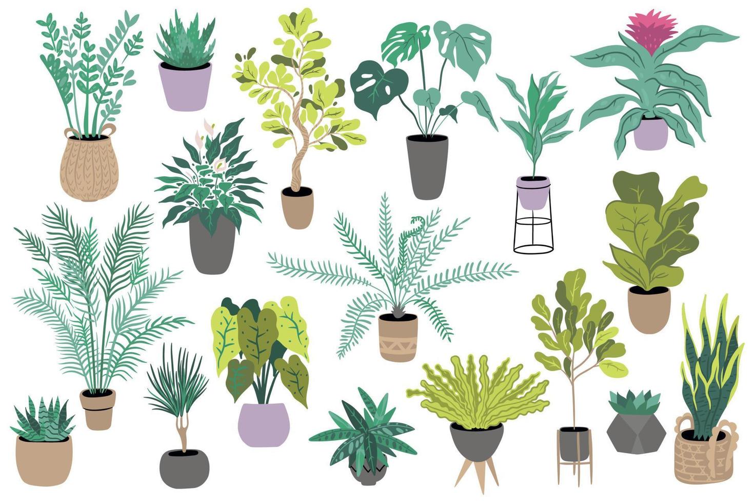 conjunto de plantas de interior aislado sobre fondo blanco. gráficos vectoriales vector