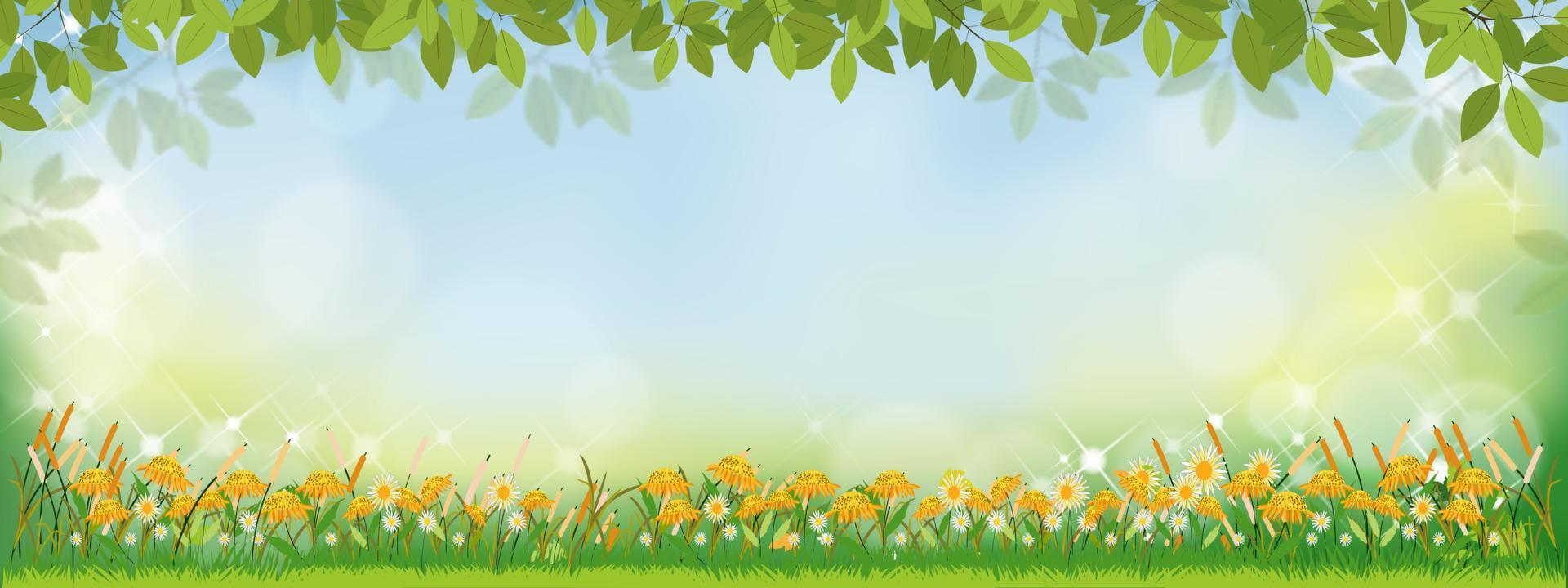 fondo de naturaleza de primavera vectorial con girasoles y campo de hierba verde, fondo de verano con hojas de ramas en el borde y efecto de luz de bokeh borroso. banner de plantilla para pascua, primavera, concepto de verano vector