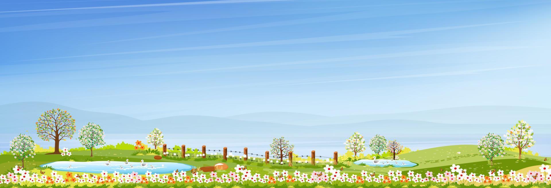 primavera con cielo azul y prado verde en las colinas, caricatura vectorial de primavera o pueblo de verano junto al lago, paisaje panorámico de tierras de cultivo con patos familiares nadando en el estanque. vector