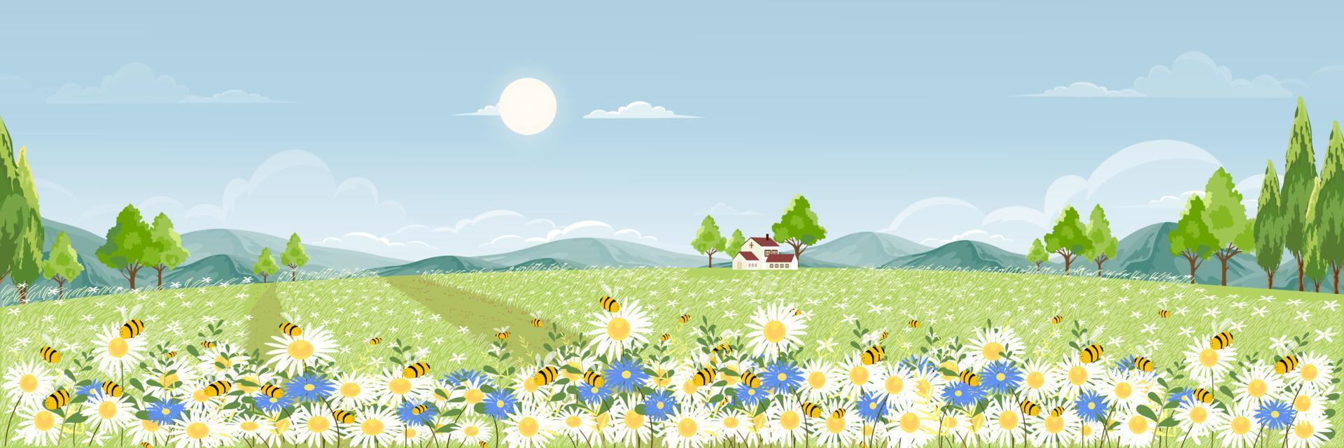 campo de primavera con nubes esponjosas en el cielo azul, lindo panorama de dibujos animados paisaje rural hierba verde con abeja melífera recolectando polen en flores en el verano soleado, banner de fondo vectorial para la primavera vector