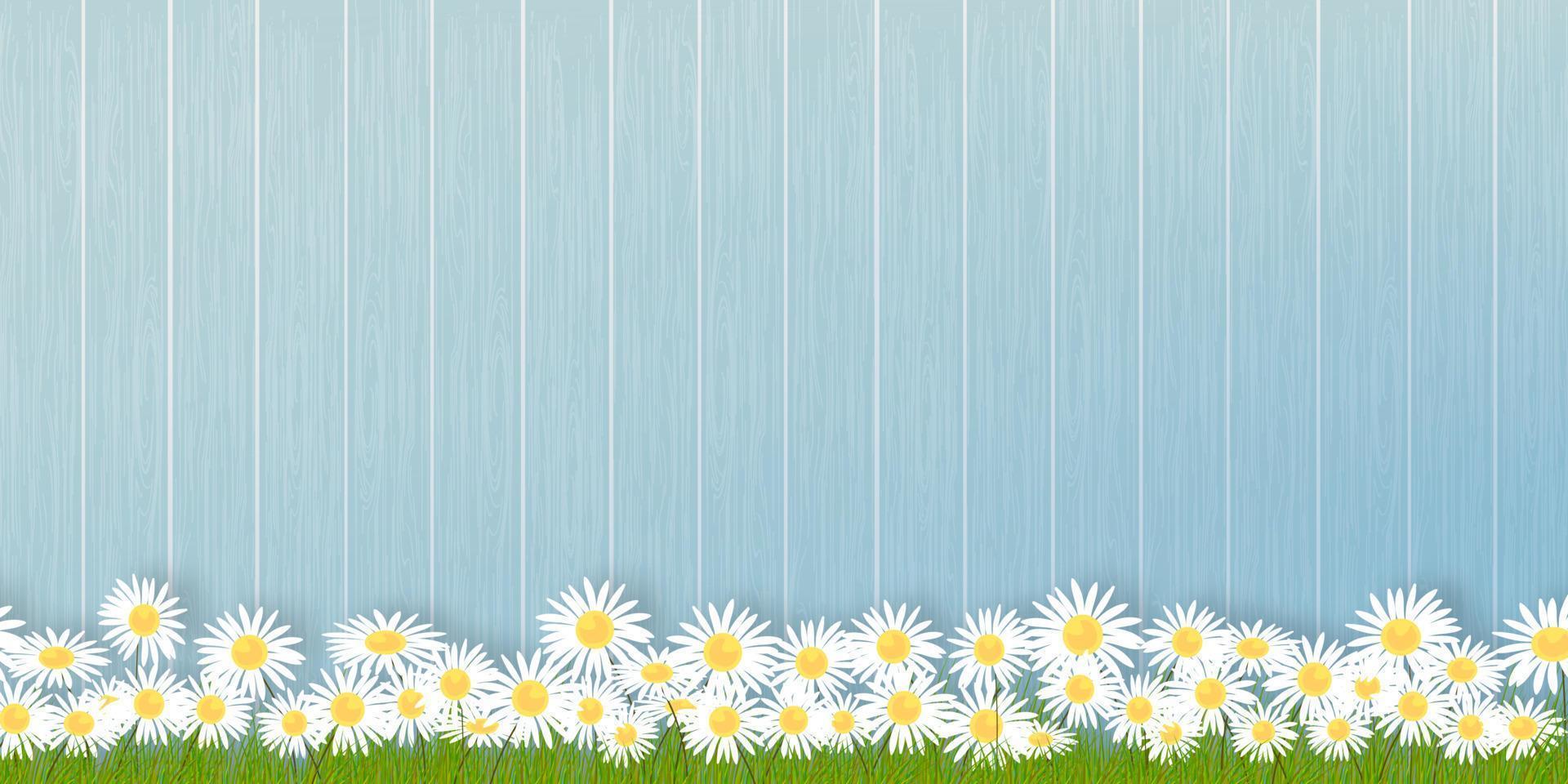 Spring background with Flower grass field on wood wall panel,Vector illustration banner backdrop of Summer nature with chamomiles flowers on blue wooden fence. vector
