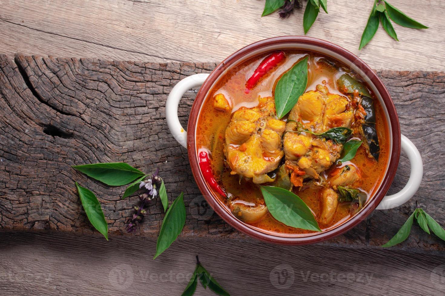 curry de bagre. comida tailandesa sobre fondo oscuro. concepto de comida tradicional. vista superior, endecha plana, espacio de copia foto