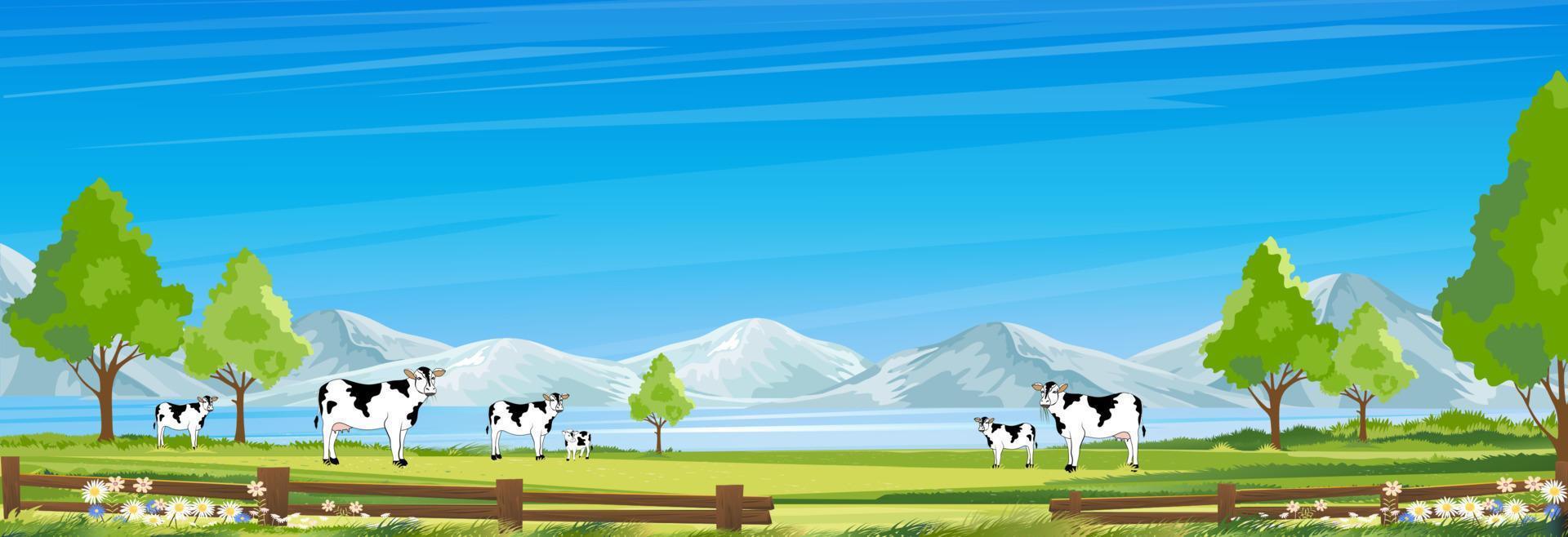 Rural farm landscape with green fields and barn animals cows, hill with blue sky and clouds, Vector cartoon Spring or Summer landscape, Eco village or Organic farming at countryside