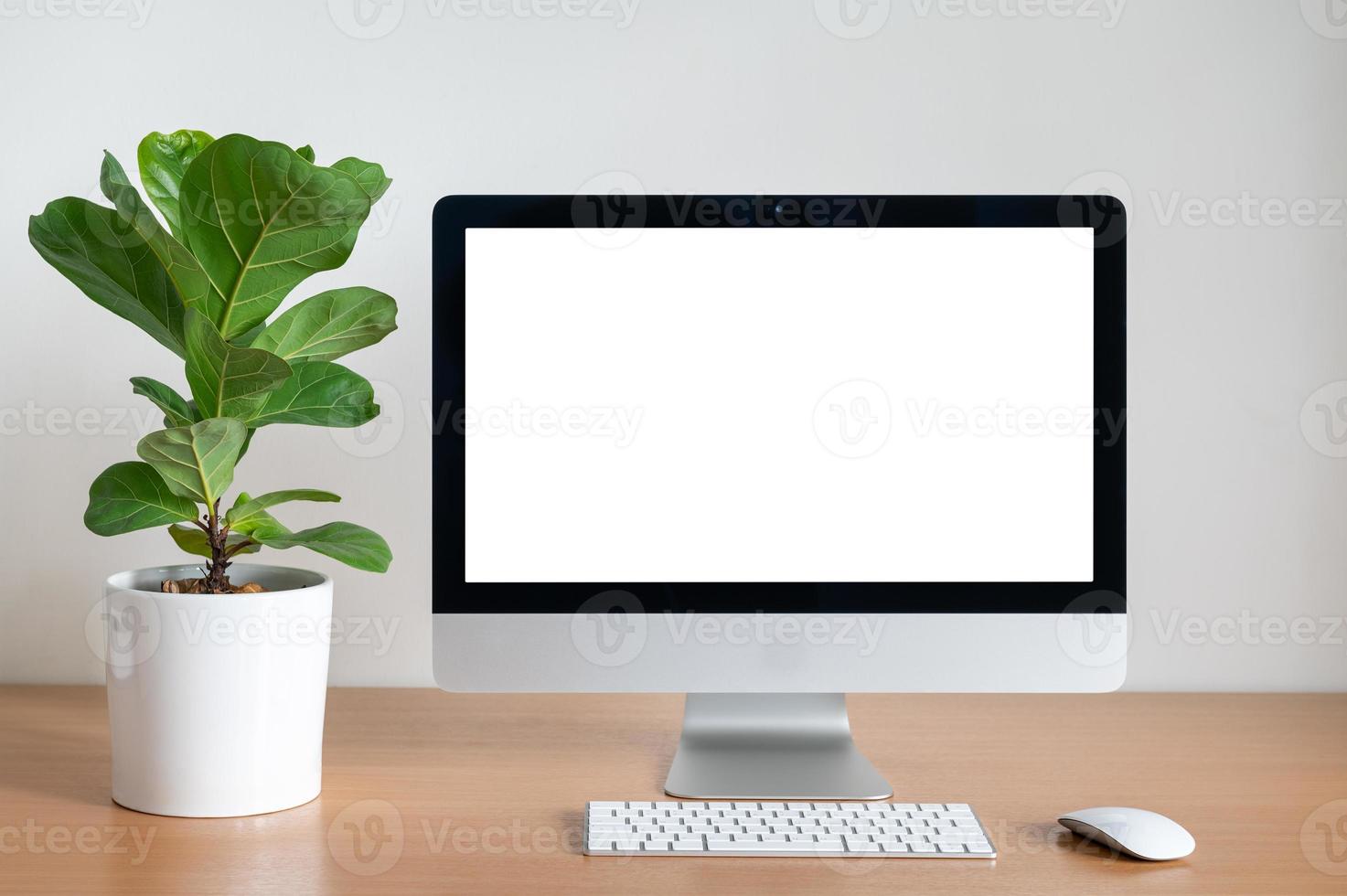 pantalla en blanco de la computadora de escritorio con maceta de higuera de violín en la mesa de madera foto