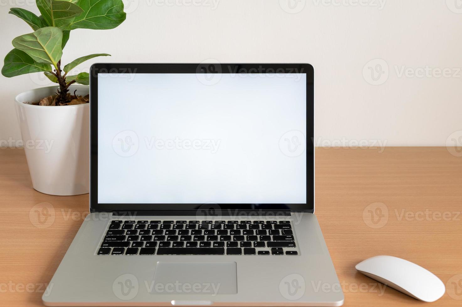 Blank screen of Laptop computer with Fiddle fig tree pot on wooden table photo