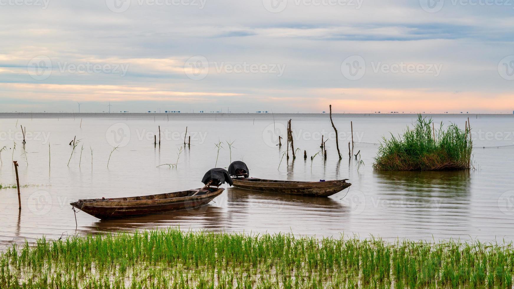 Rice field with wooden long tail boats lake side at Pakpra photo