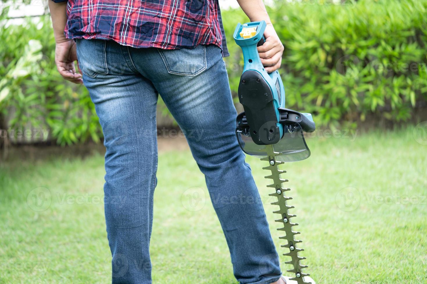 Gardener holding electric hedge trimmer to cut the treetop in garden. photo