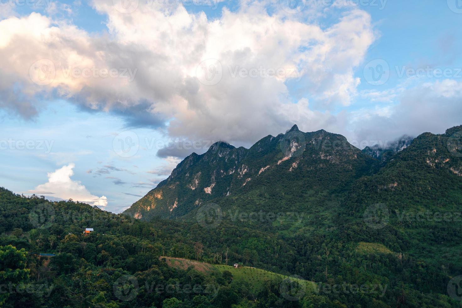 Green mountain view at Chiang Dao photo