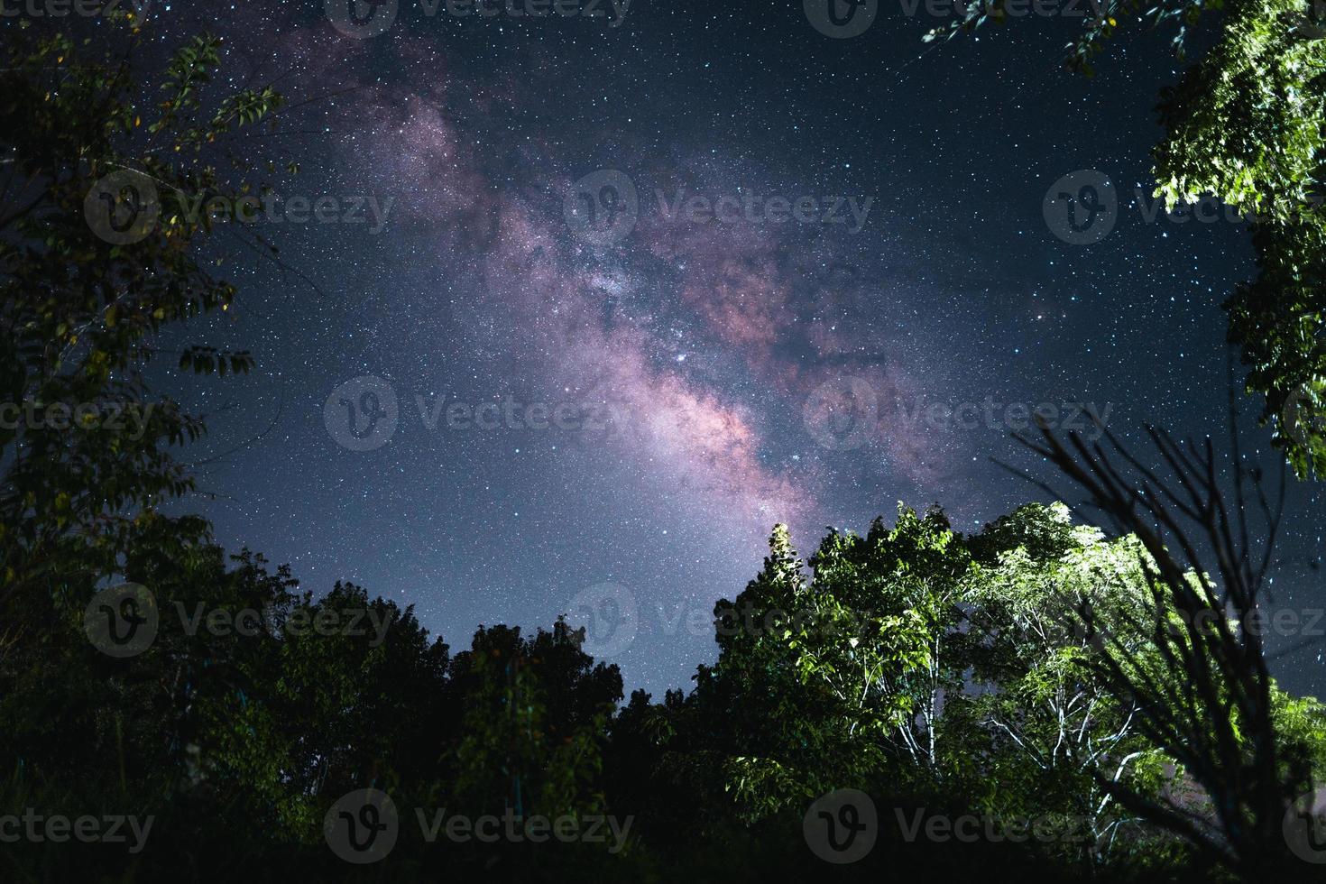 Bright and Beautiful Milky Way photo