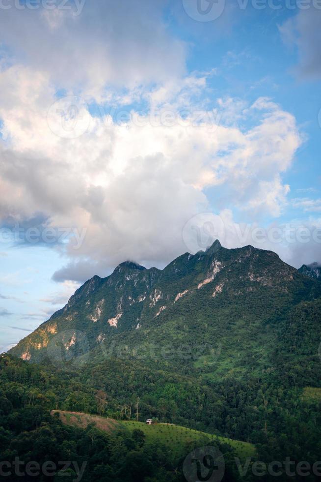 vistas a la montaña verde en chiang dao foto