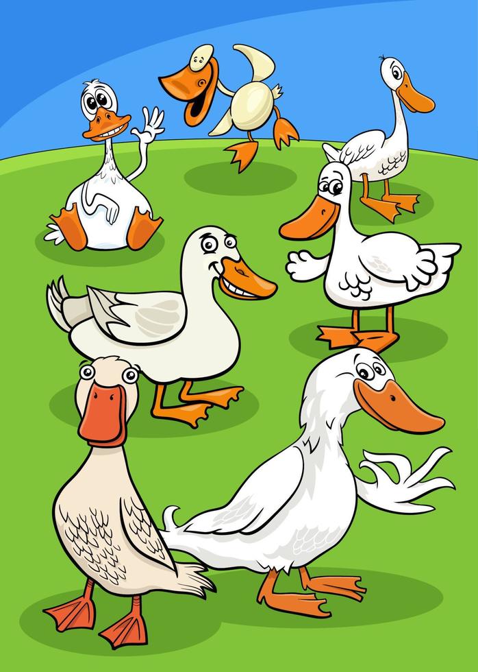 grupo de personajes de animales de aves de granja de patos de dibujos animados vector