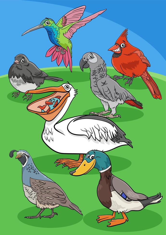 grupo de personajes de animales de aves de dibujos animados vector