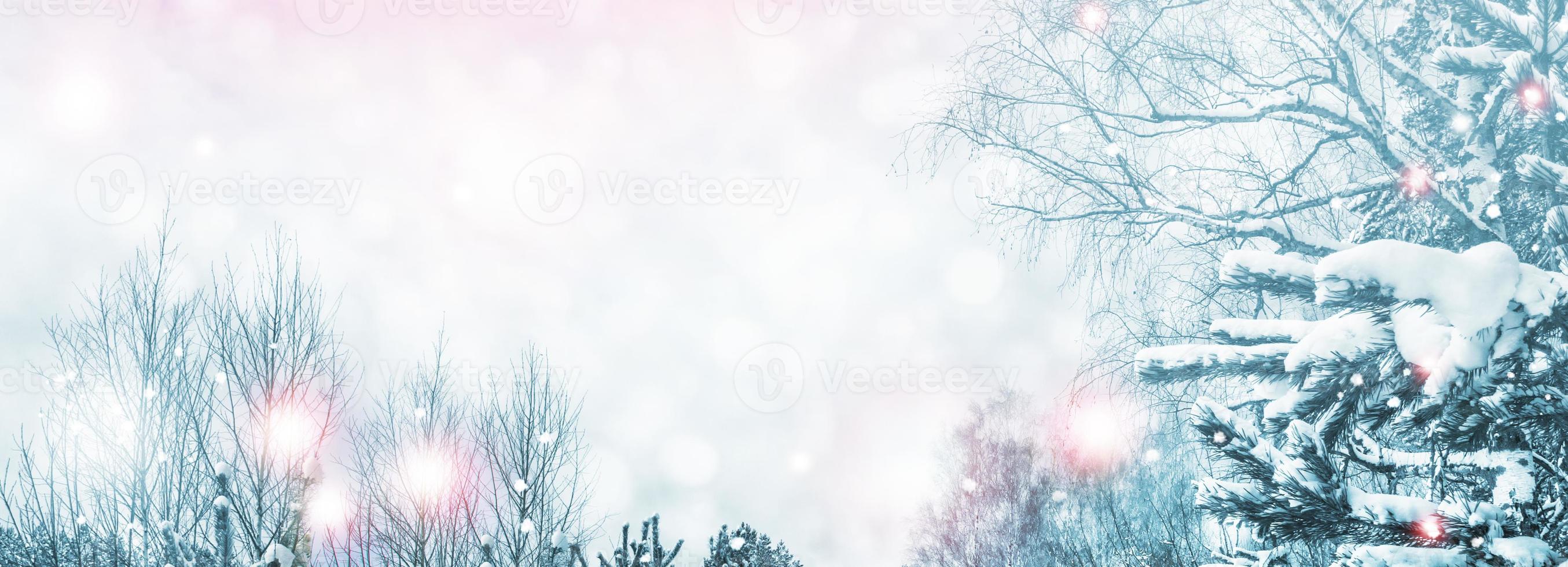 Frozen winter forest with snow covered trees. photo