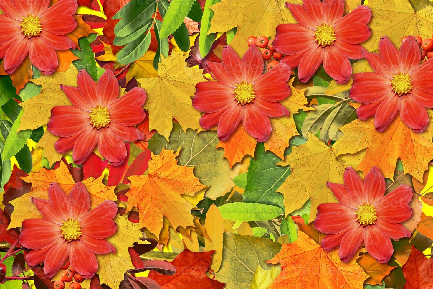 abstract background of autumn leaves photo