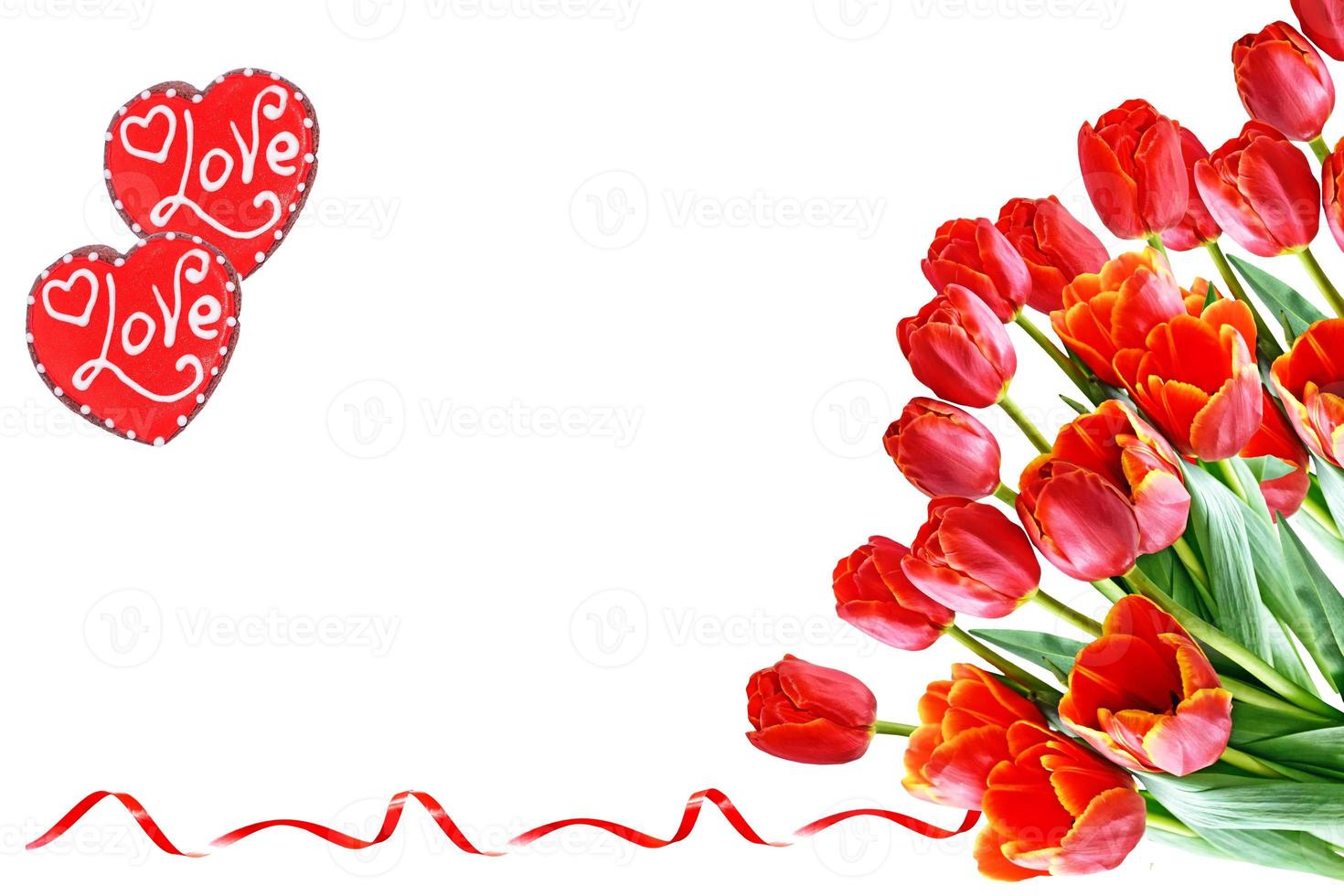 spring flowers tulips photo