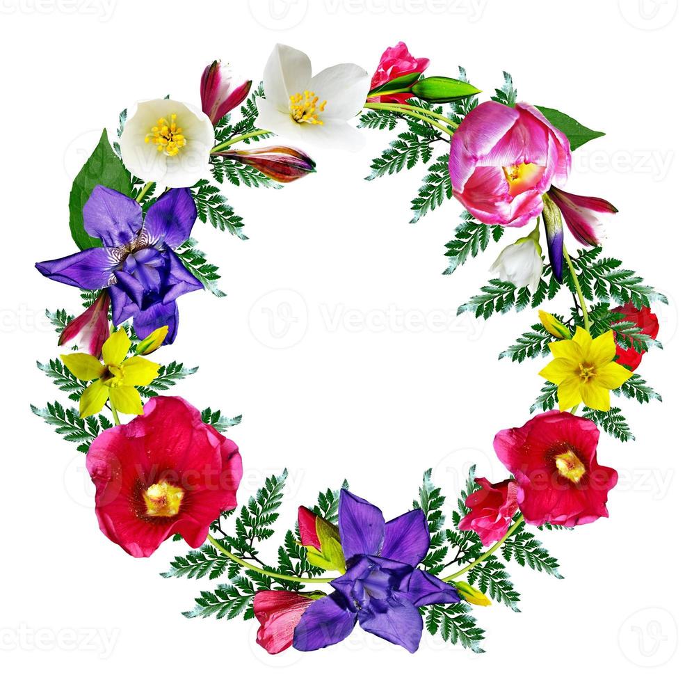 circle frame flowers photo