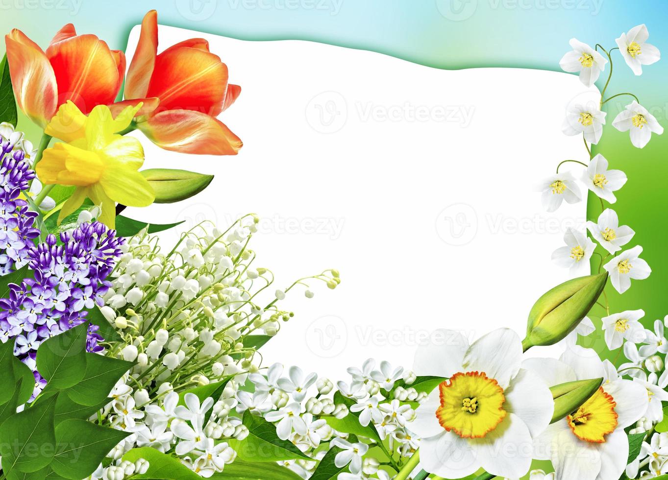 Holiday Spring card. Floral background. Bright colorful flowers. photo