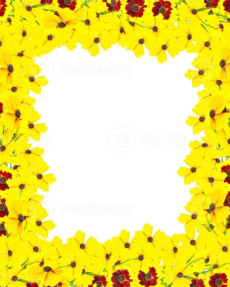 frame of flowers photo
