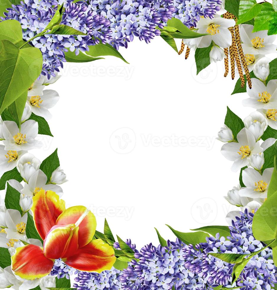 Spring flowers. frame photo