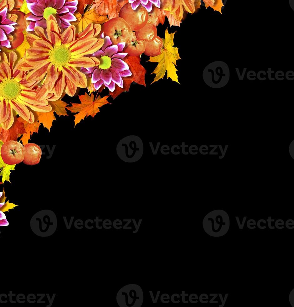 abstract background of autumn leaves photo