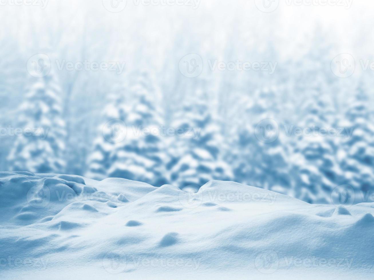 Frozen winter forest with snow covered trees. photo