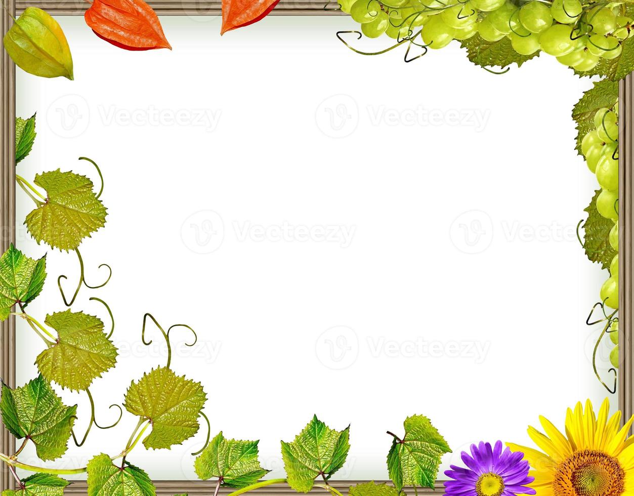 Frame of flowers and foliage photo