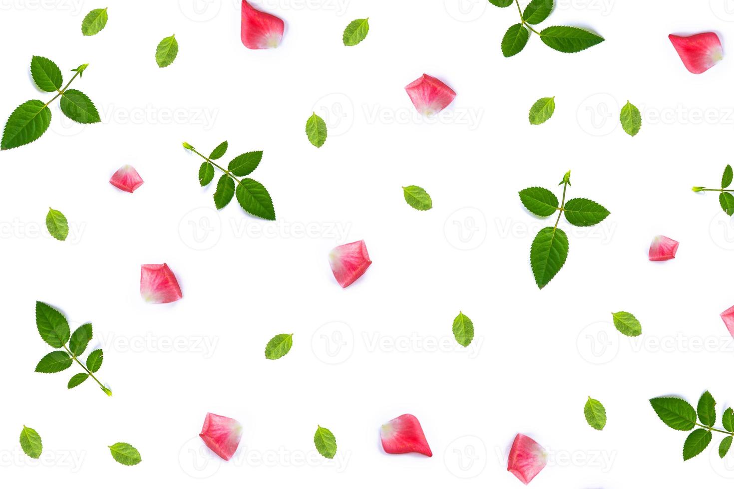Bright pink rose petals. photo