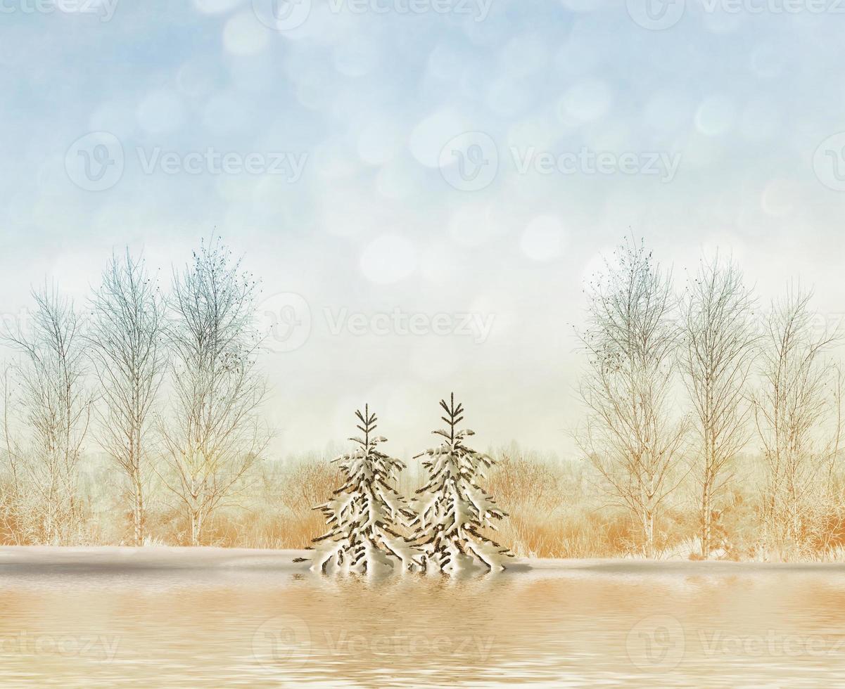 Frozen winter forest with snow covered trees. photo