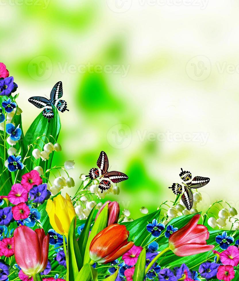 floral background. Nature. photo