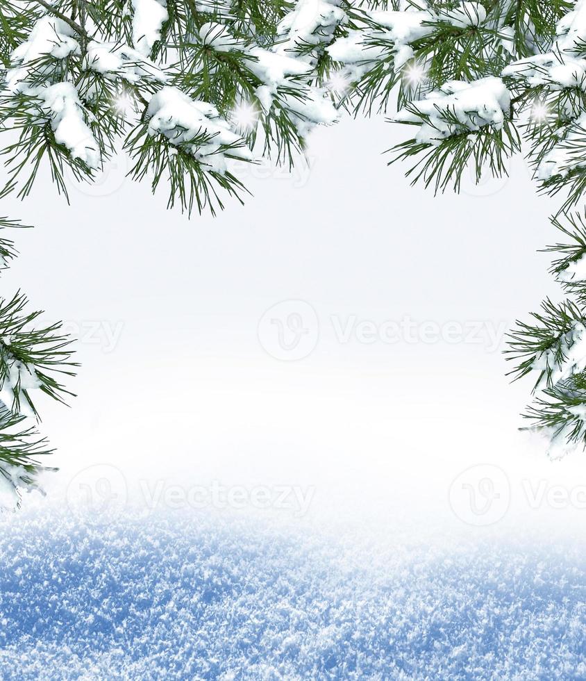 Background of snow. Winter landscape. photo