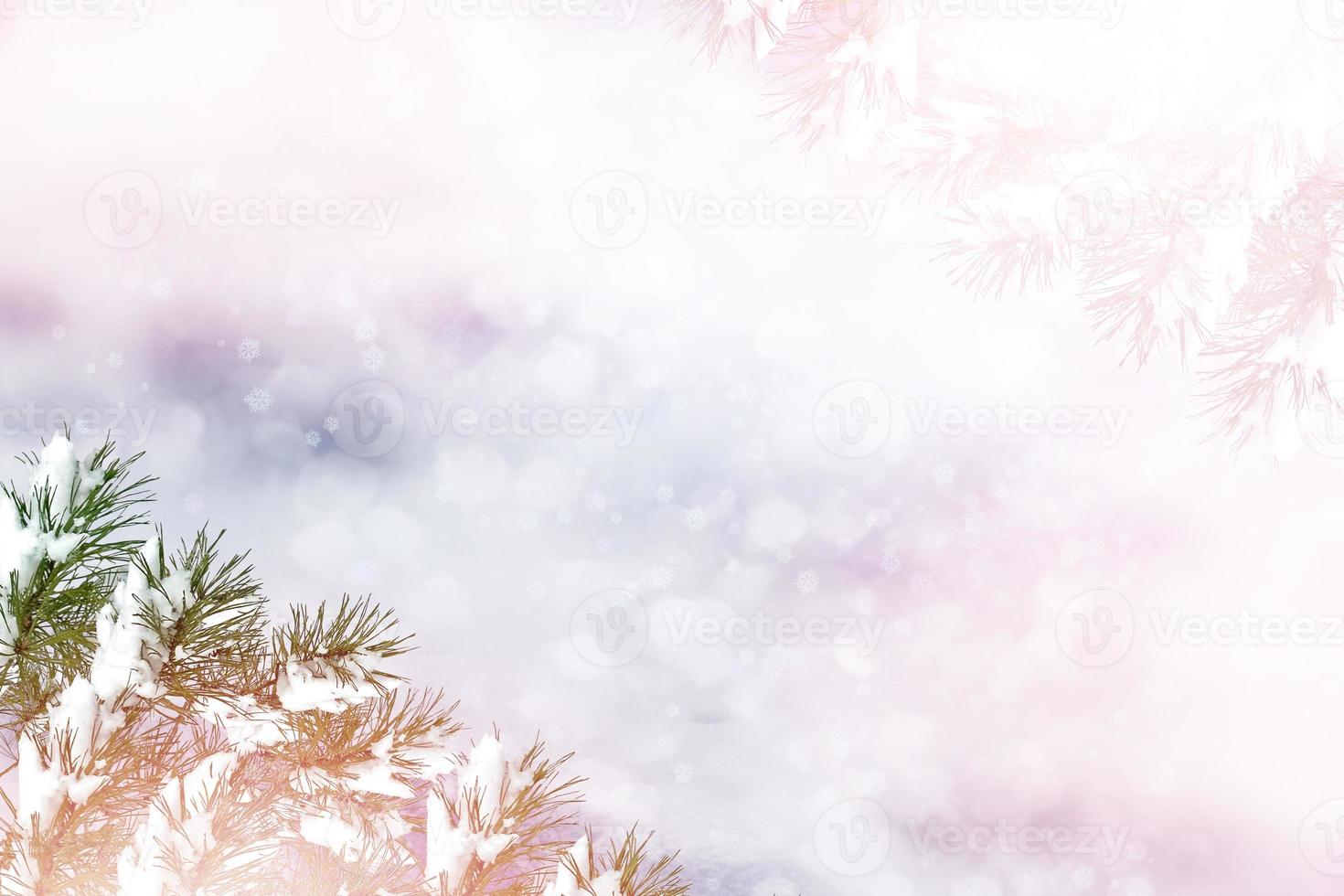 Background of snow. photo