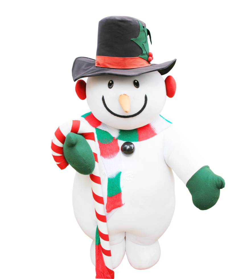 Cute snowman doll png