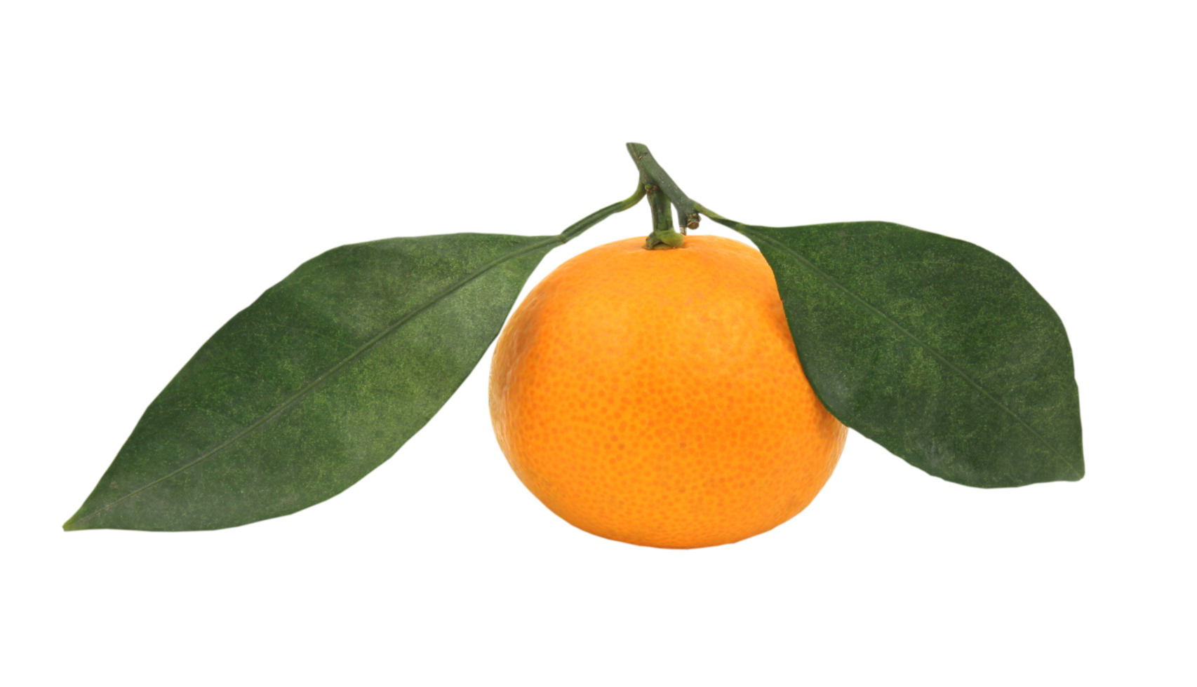 frutta arancione png