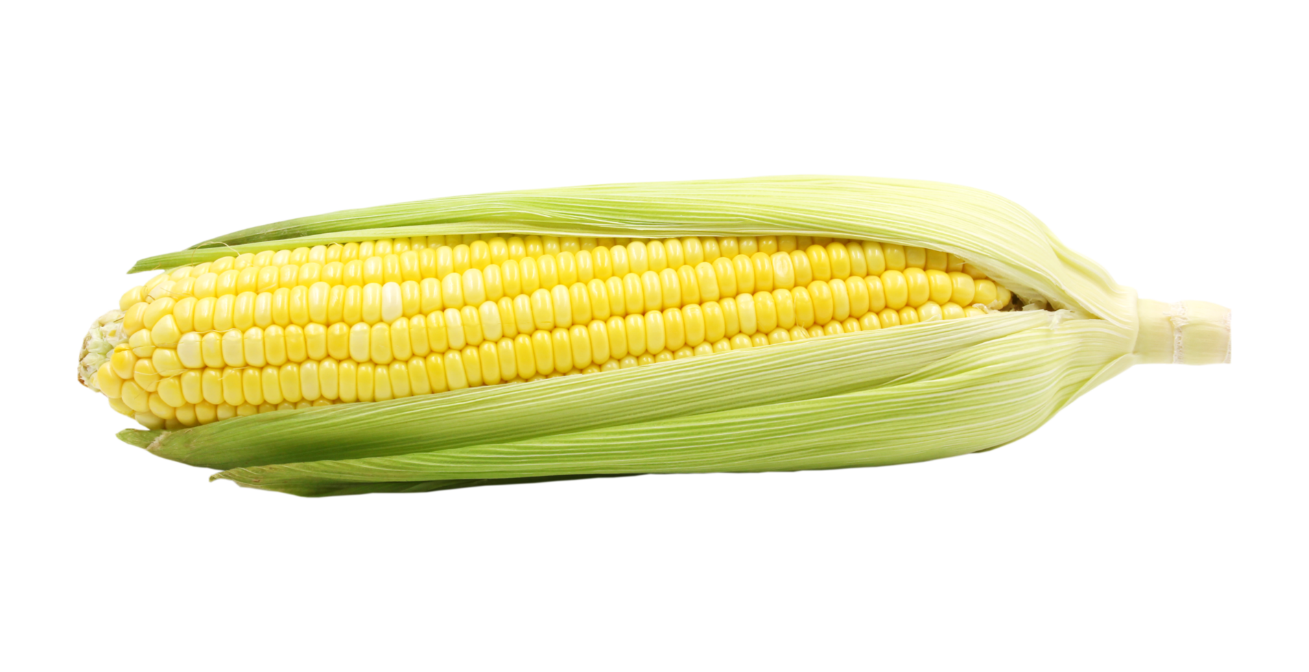 A Corn png