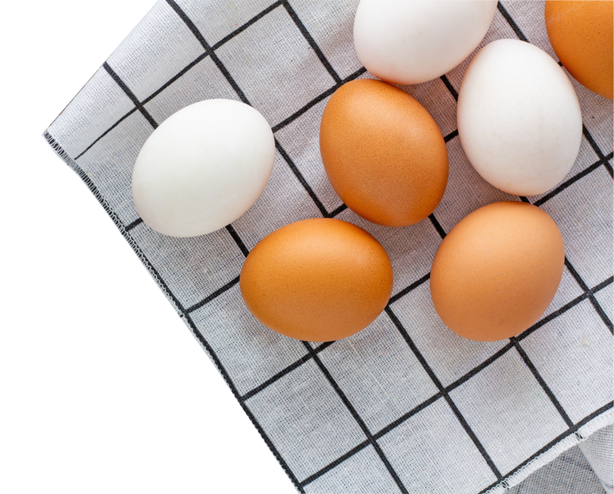 Chicken and Duck Eggs png