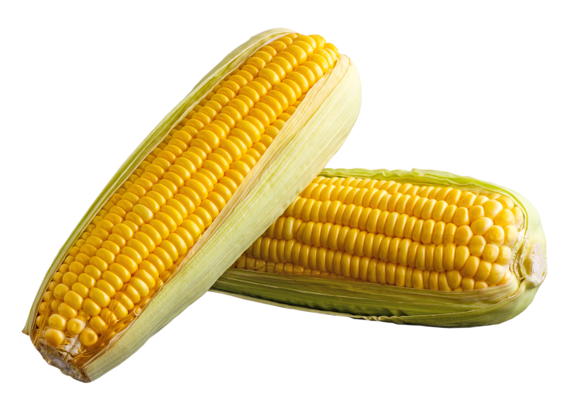 Sweet Corn PNGs For Free Download