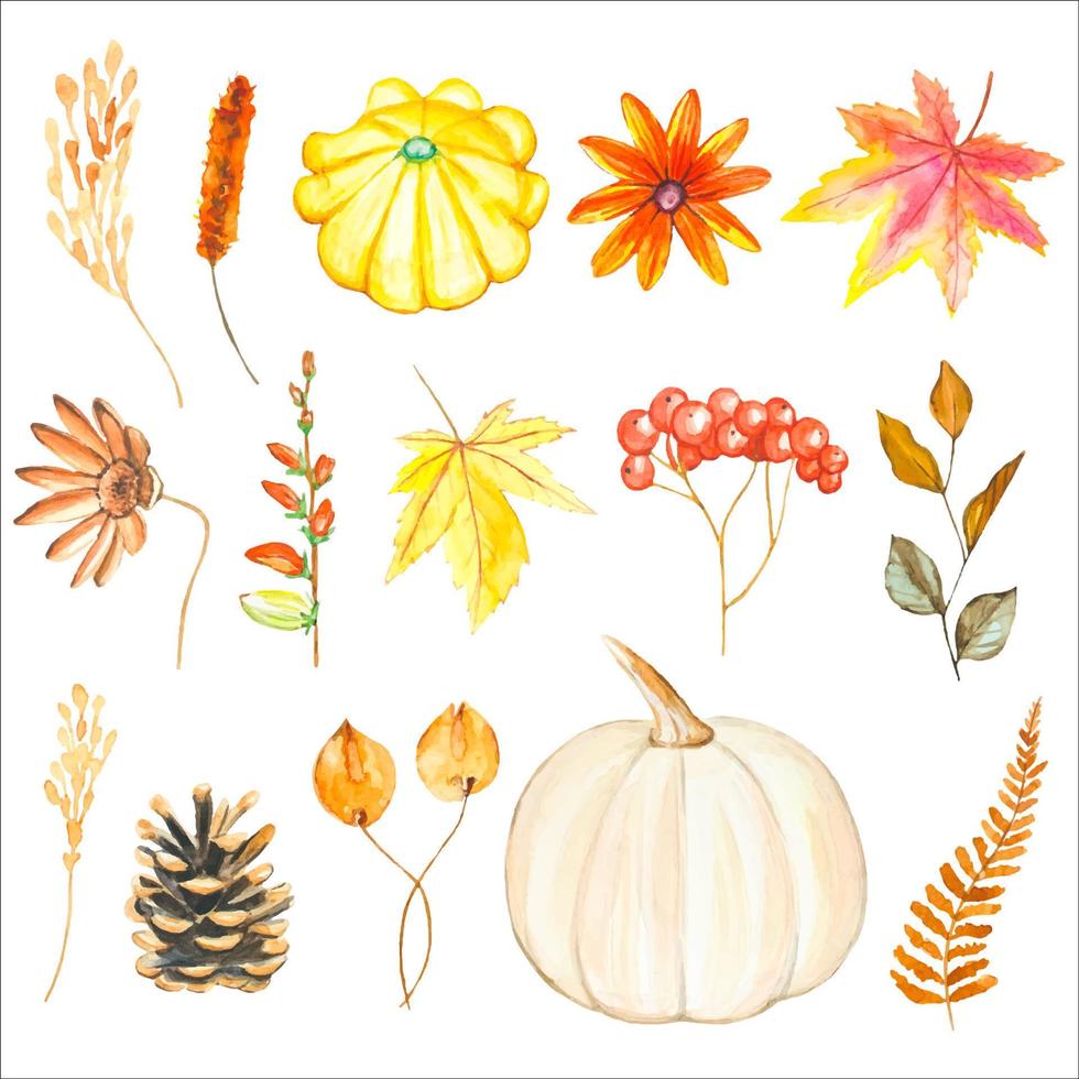 Watercolor autumn set of leaves, flowers, branches, and pumpkin isolated vector