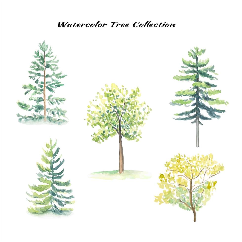 Collection of watercolor trees on white background vector