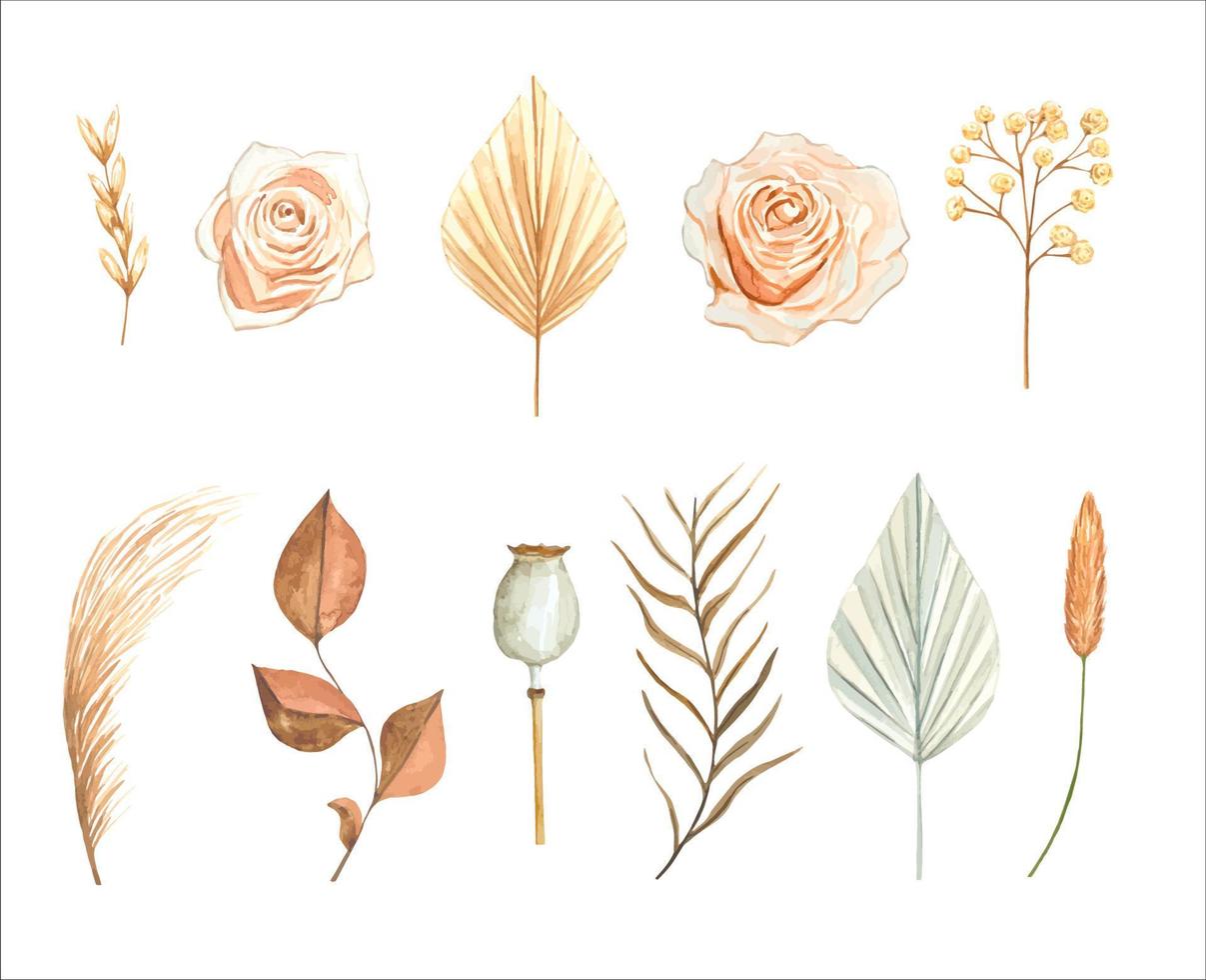 Watercolor  set with dry dried boho palm leaves and pampas grass, flowers . Floral illustration for design, print. vector