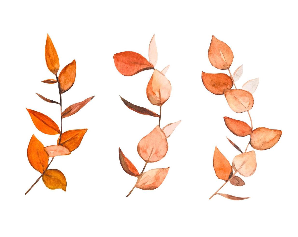 Set of dry branches of eucalyptus in watercolor vector