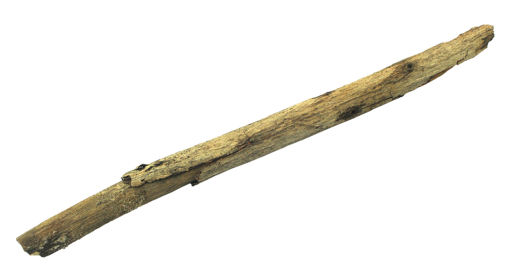 log wood isolate on transparent background png file