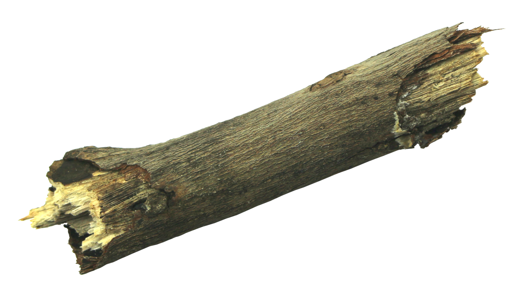 log hout isoleren op transparante achtergrond png-bestand png