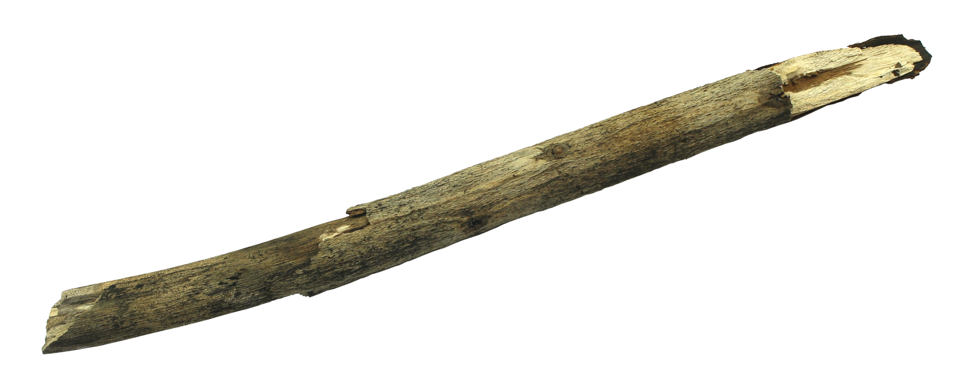 log wood isolate on transparent background png file