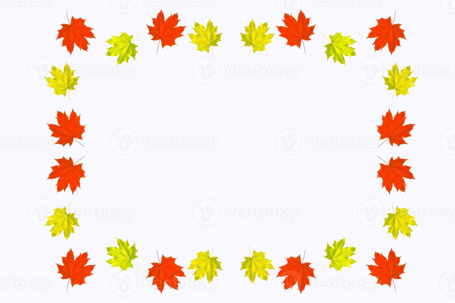 Bright colorful autumn leaves photo